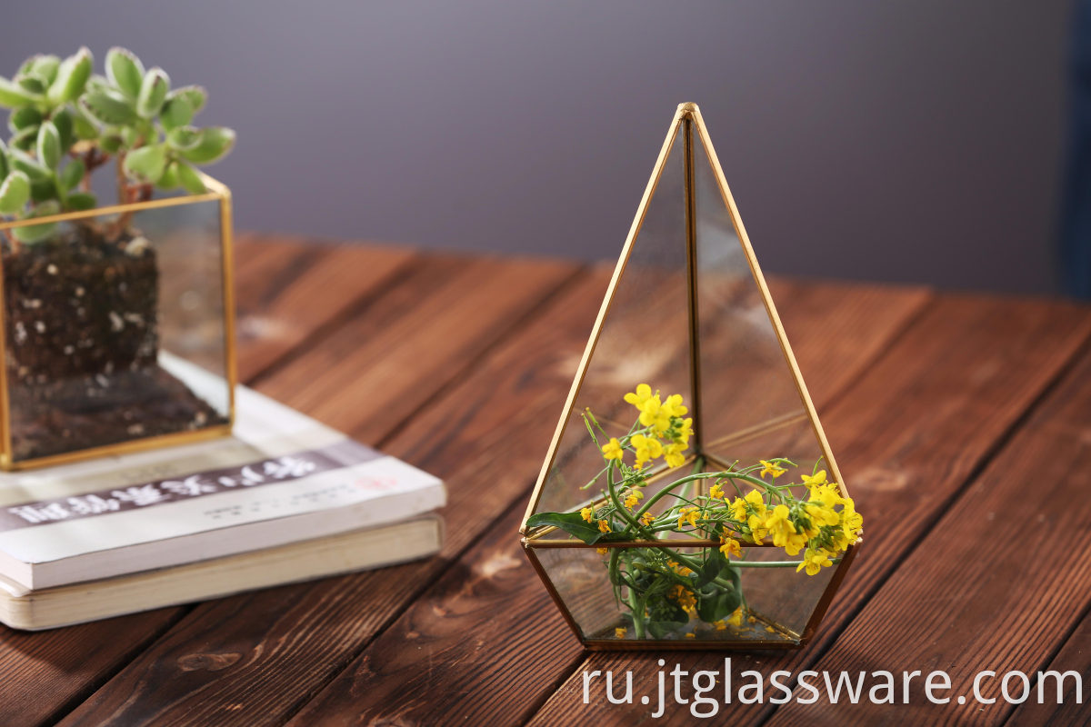 Clear Geometric Glass Terrarium Plant 